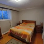 Cozy Apartment With A Spacious Backyard In The Ravine